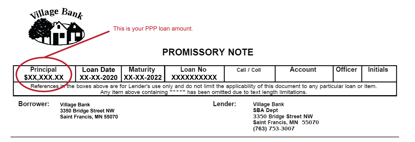 PPP Loan Amt Smpl
