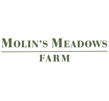molins-logo